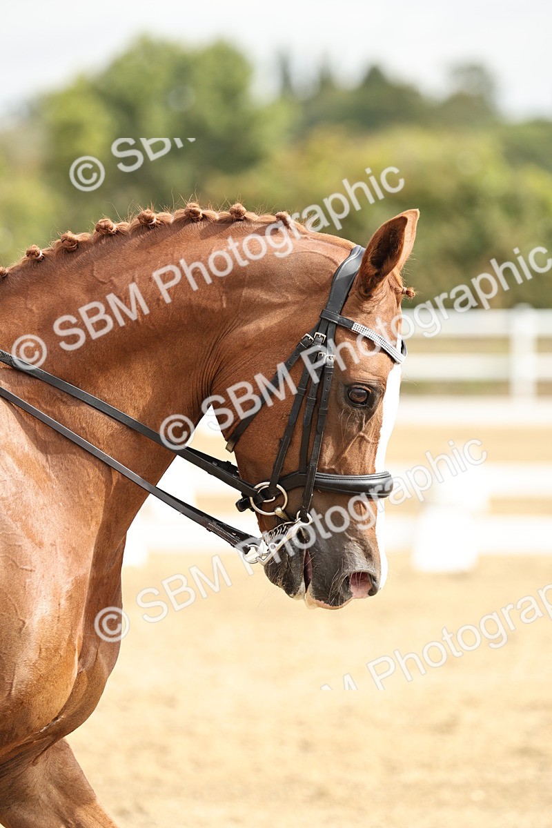 SBM_006874 - Class 21 - Medium 5 Bronze - 10.04-10.52