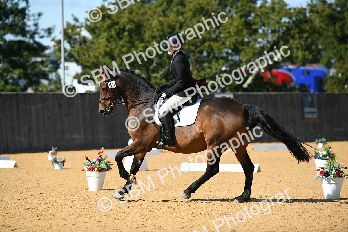 SBM_24862 - D13 - Grand Tour Championship - Prelim 12