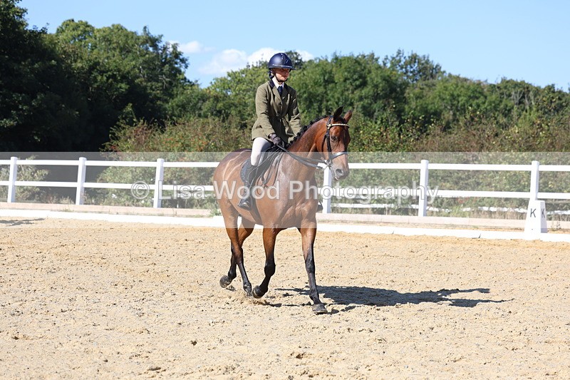 3E7A5726 - Class 10: Riding Horse