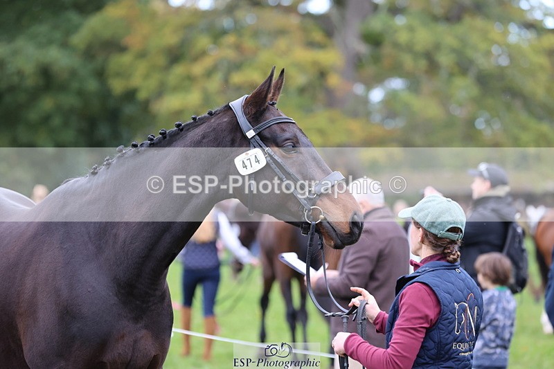 251026A-110422-23490 - F-474-Sarah.Orme