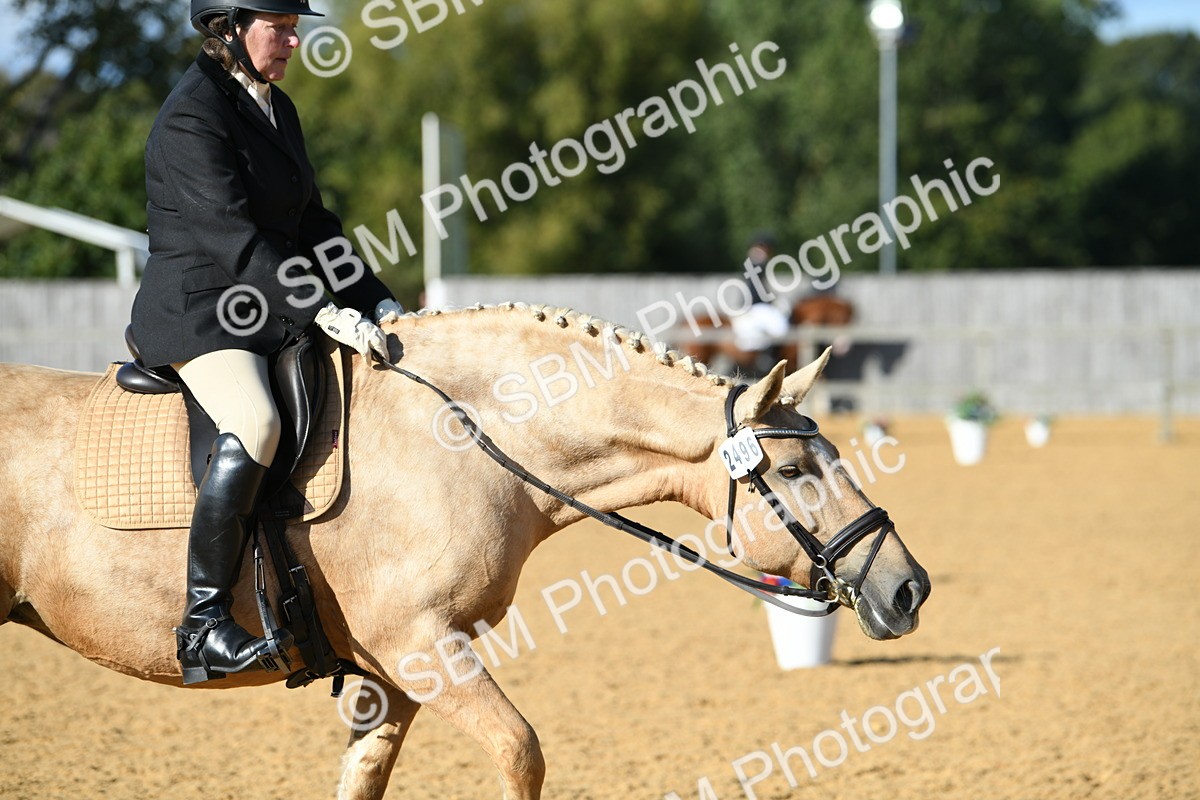 SBM_27258 - D16 - Small Tour Championship - Novice 28