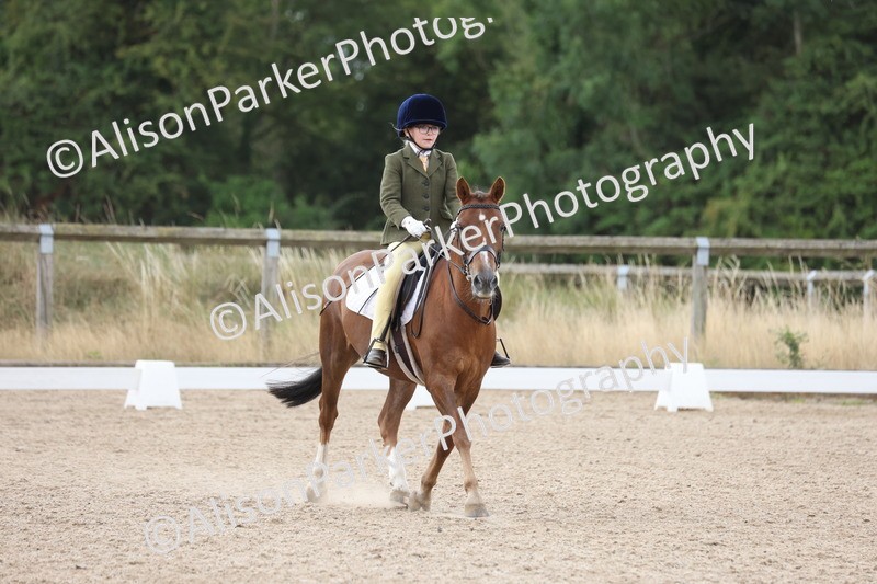 20250730-0294 - Class 2 - Intro 4