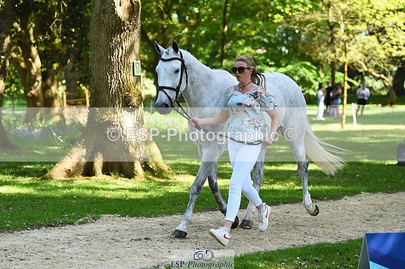 230524-155526-00553 - 203-DHI_CHILLI_START-Sophie_Hodgson-WEDTrotUp+DR