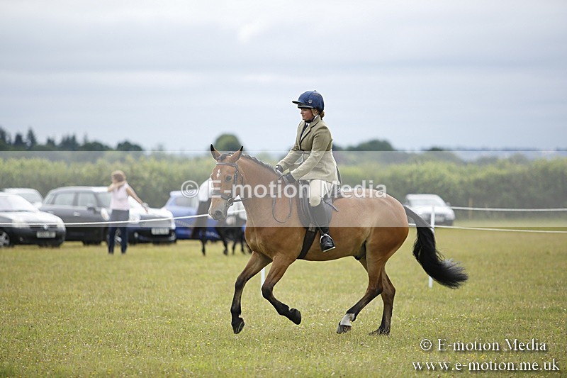 BVR160717-273 - Ring 1 BVRC Show 16/07/17