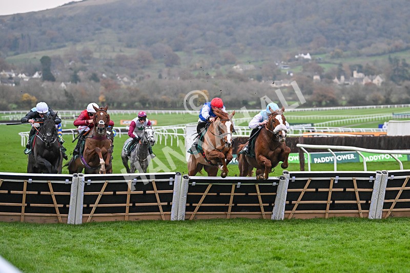 161124-Race 6-Hamsiyann-1458 - Race 6