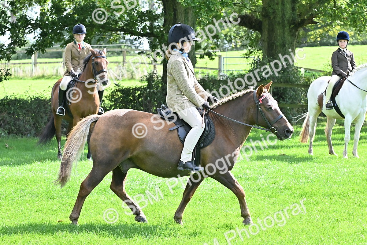 SBM_44522 - S13 - Pony Club Pony