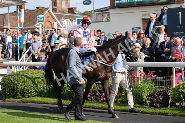 yr18082021r5-21 - Race 5 4.10pm Sky Bet Stakes