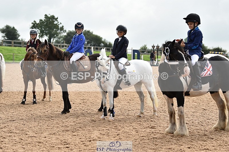 230902A-120612-00928 - Cls 2B Pony Small 80cm