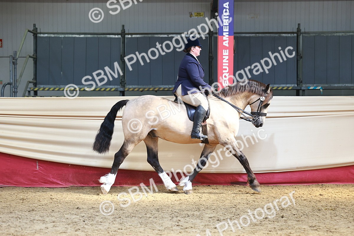 SBM_23305 - class 906 - Supreme Final - Ridden Pre Vet