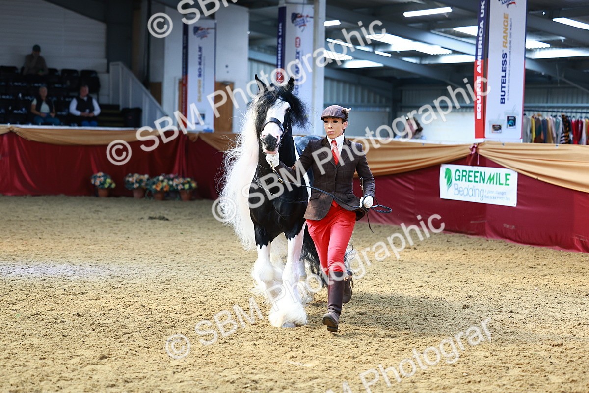 SBM_23224 - Class 903 - Supreme Final - IH Pre Vet