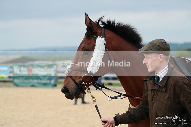 PtP 040526 04 - Mollington Point-to-Point 04/05/26