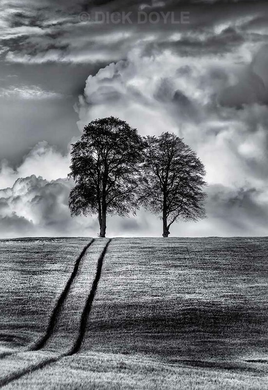 TWINS IN RAIN STORM