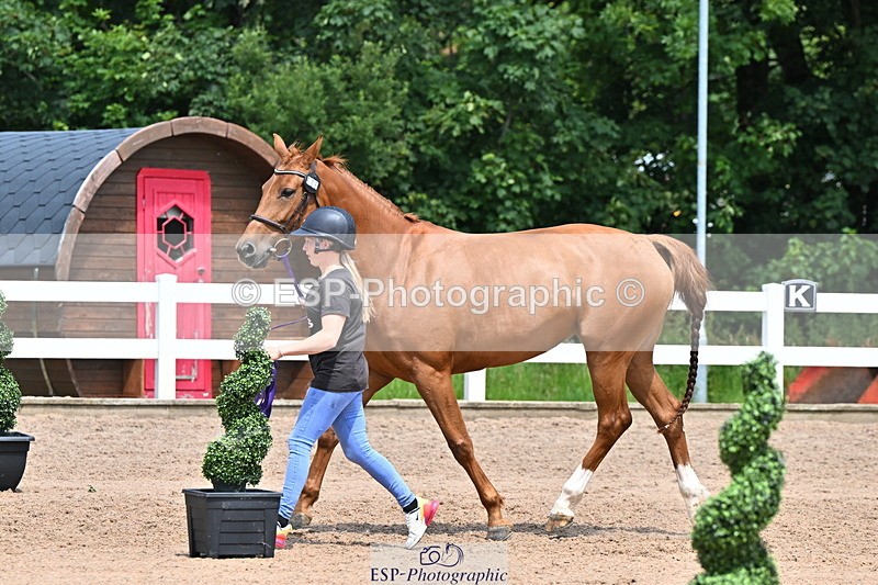 240718A-105312-01702 - Trot Up 1pm to 2pm