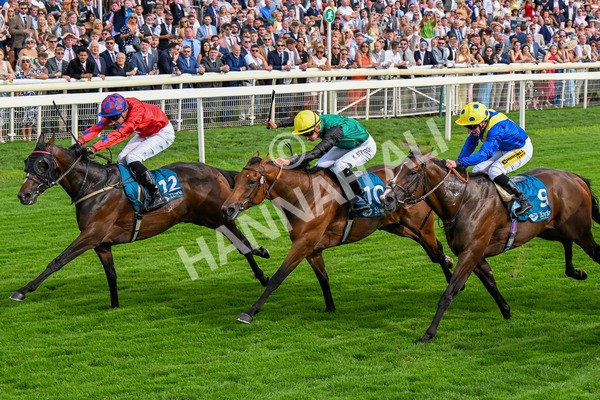 260725-Race 7-Chesneys Charm-0914 - Race 7 5.00pm Sky Bet Extra Places Every Day Handicap