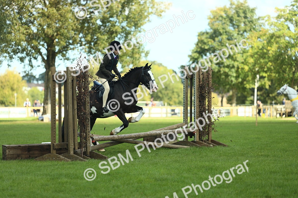 SBM_42005 - S29 - Novice & Newcomers Working Hunter Pony