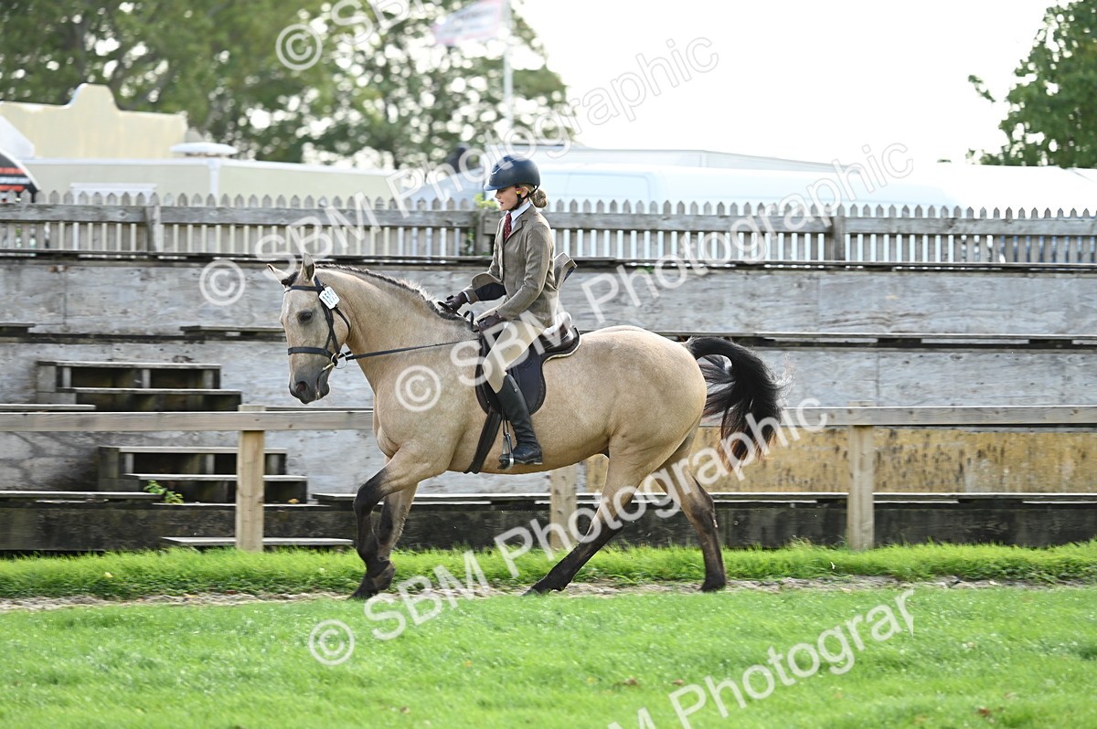SBM_01887 - S2 - TSR Ridden Horse Showing