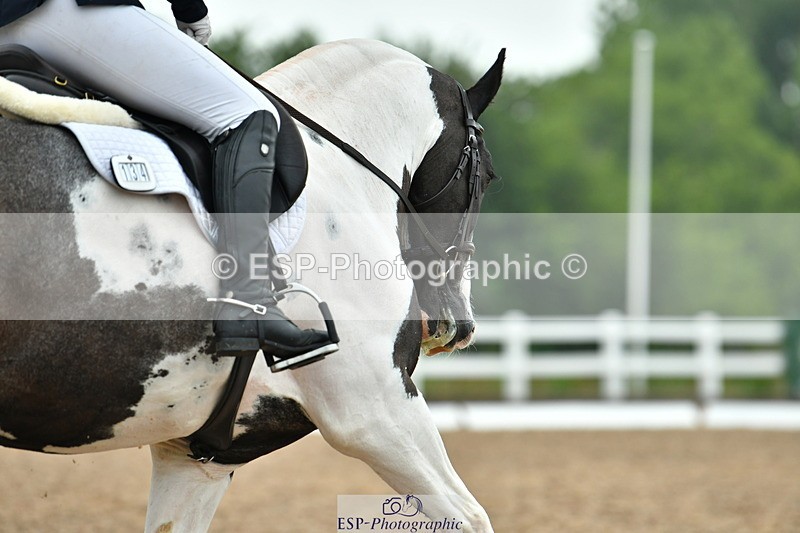 230708A-141531-03410 - Prelim 14