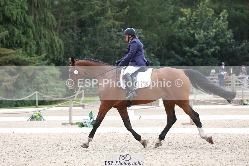 230812-120556-03928 - Cls 5 Novice Bronze 11.15 to 12.50 break