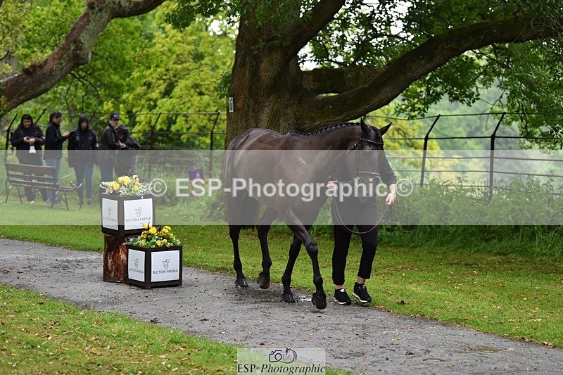 240522-153352-00433 - 376-STORM_BLUE_CURTIS-Phoebe_Buckley