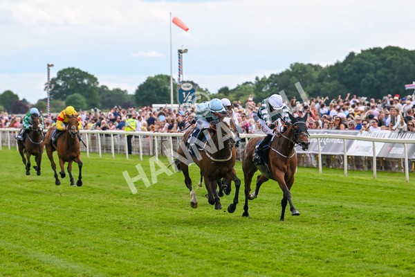 310525-Race 4-Scenic-9611 - Race 4 3.15pm William Hill Bronte Cup Fillies' Stakes