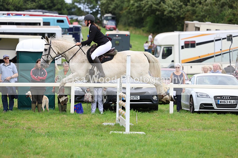3E7A7078 - Class 5: Senior British Novice/90cm open