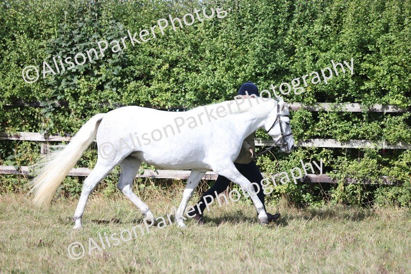 20250831-1594 - Class 22 - Mountain and Moorland Inhand