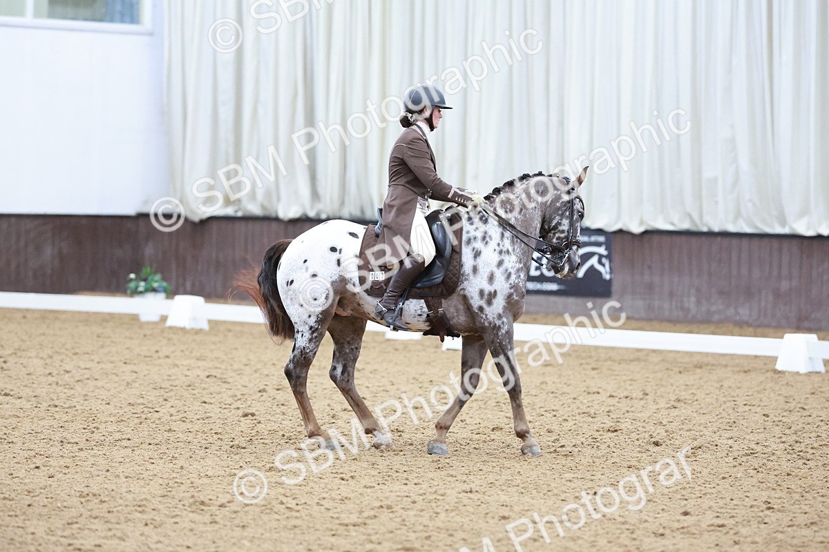 SBM_021389 - Class 14 - FEI Grand Prix - 17.40-18.34