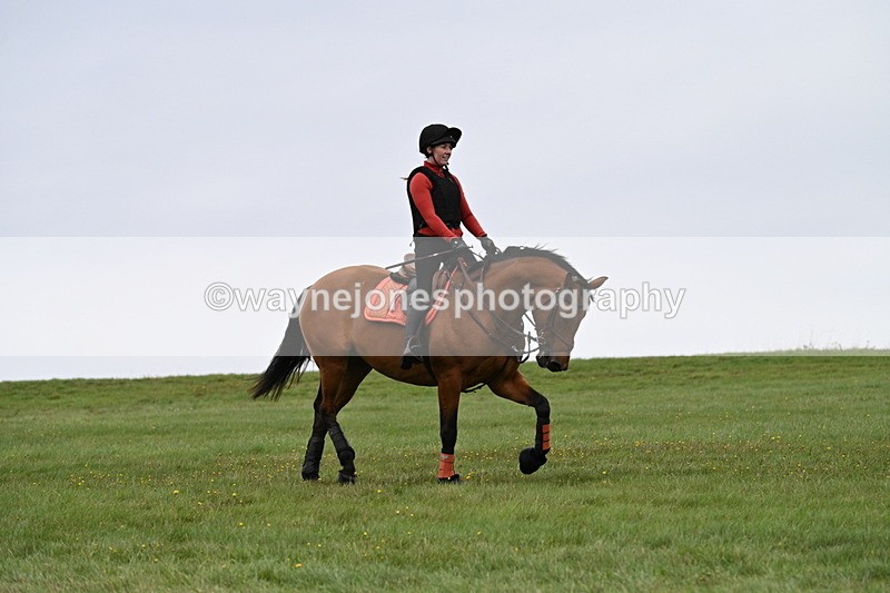 WJ7_8268 - Time 12:00 to 12:21