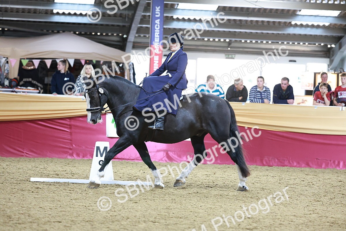 SBM_09927 - Class 61 - Dressage to Music