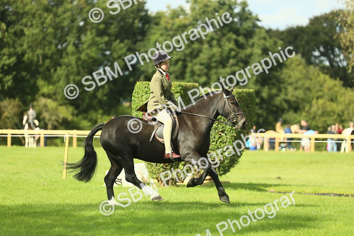 SBM_44938 - Working Hunter Pony Supreme Championship