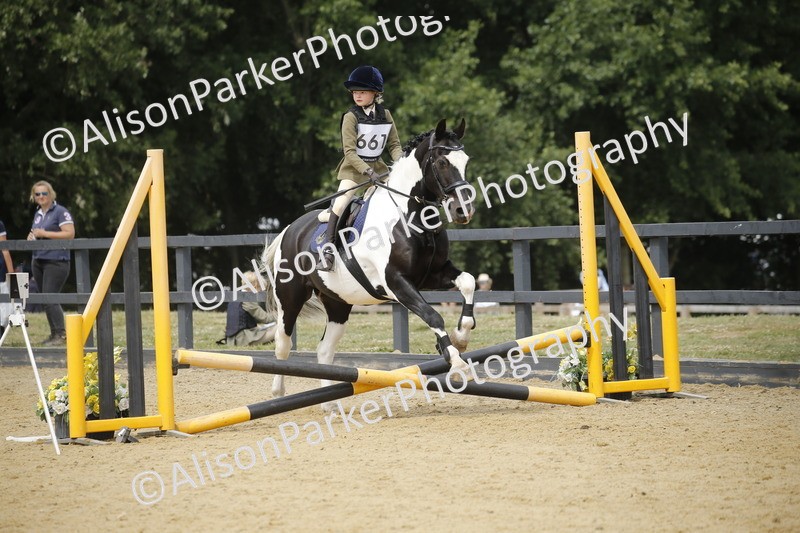 20250622-4748 - 50cm