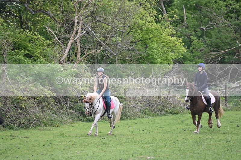 WJ6_3285 - A camera