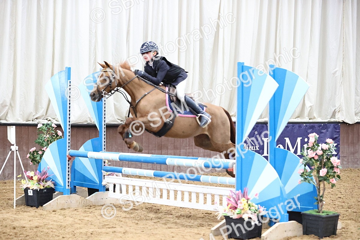 SBM_000308 - Class 2 - Pony British Novice - 80cm Open