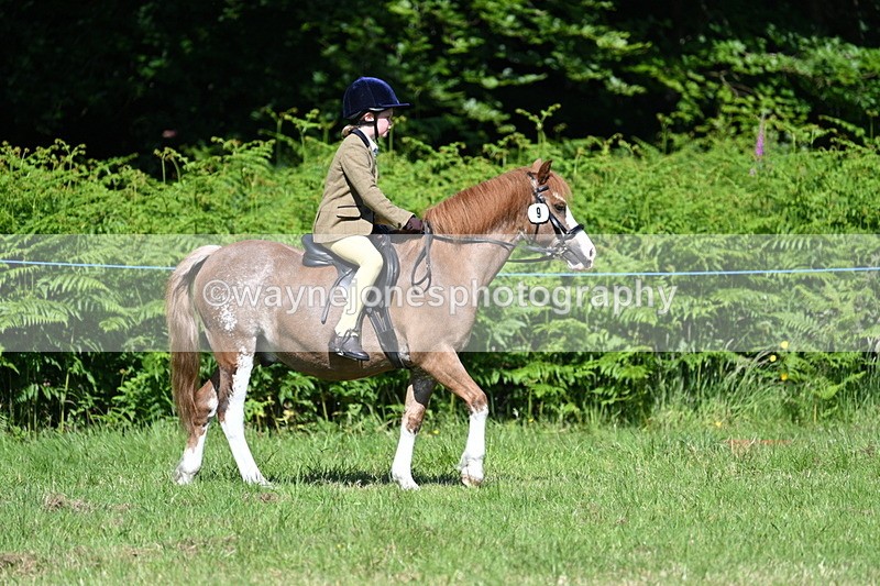 WJ7_0665 - Class 8 First Rally Pony