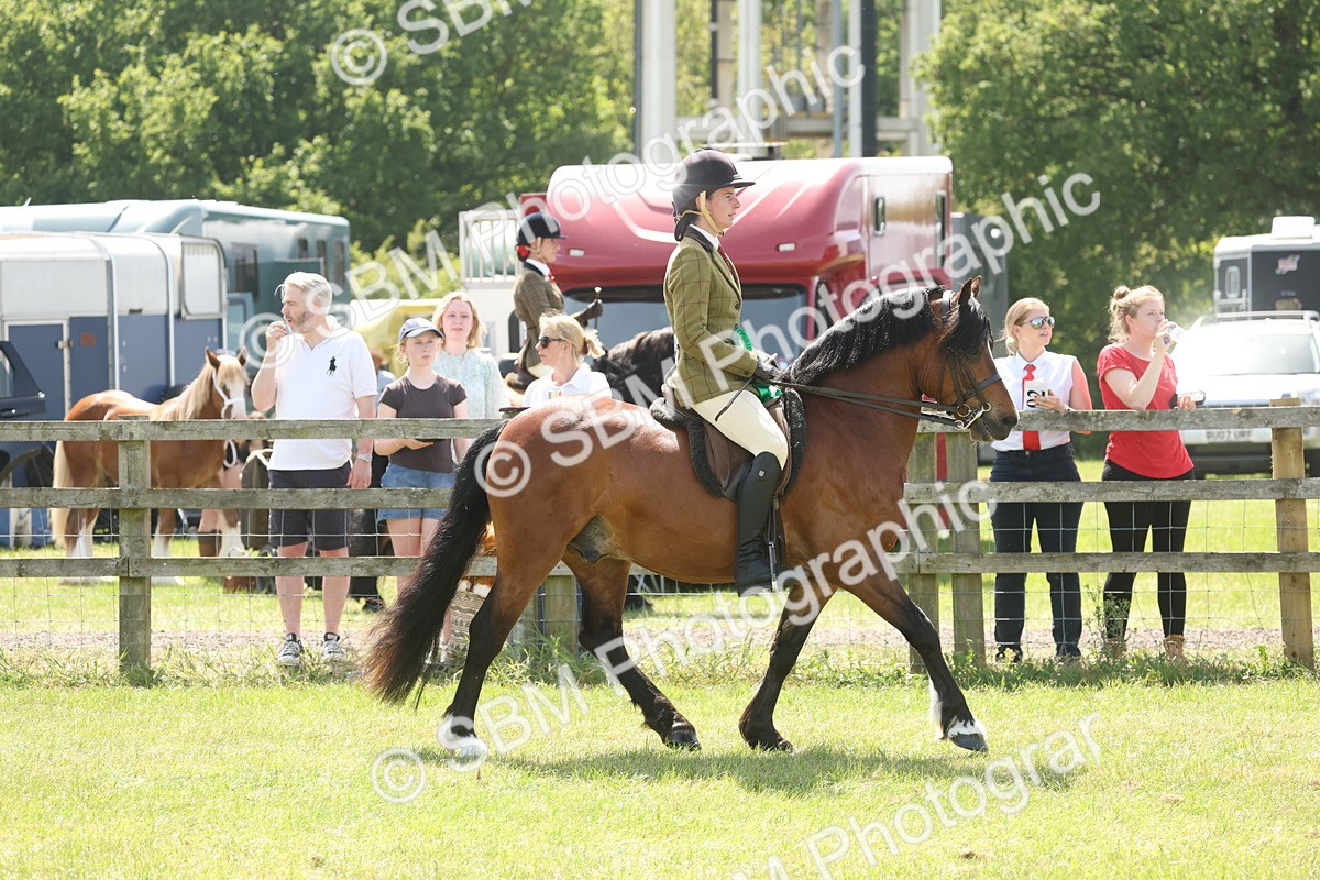SBM_07016 - Class 26-30 - Mountain and Moorland Ridden