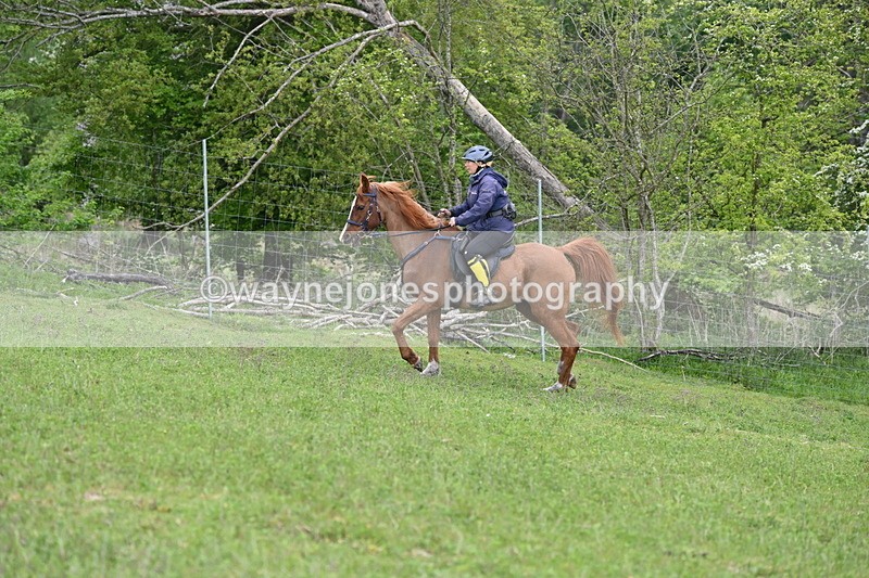 WJ6_3257 - A camera