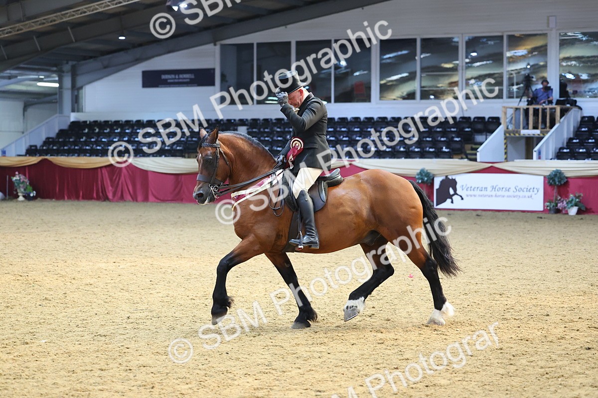SBM_24712 - Class 906 - Supreme Final - Ridden Pre Vet