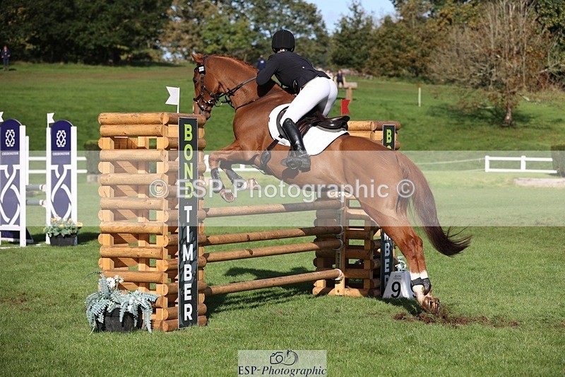 231022-113309-25241 - 686-MOORLAND.MAGIC-Charlotte.Chard-TrotUp+SJ