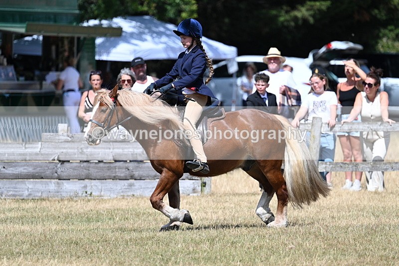 WJ7_3390 - Class 8 Ridden Veterans