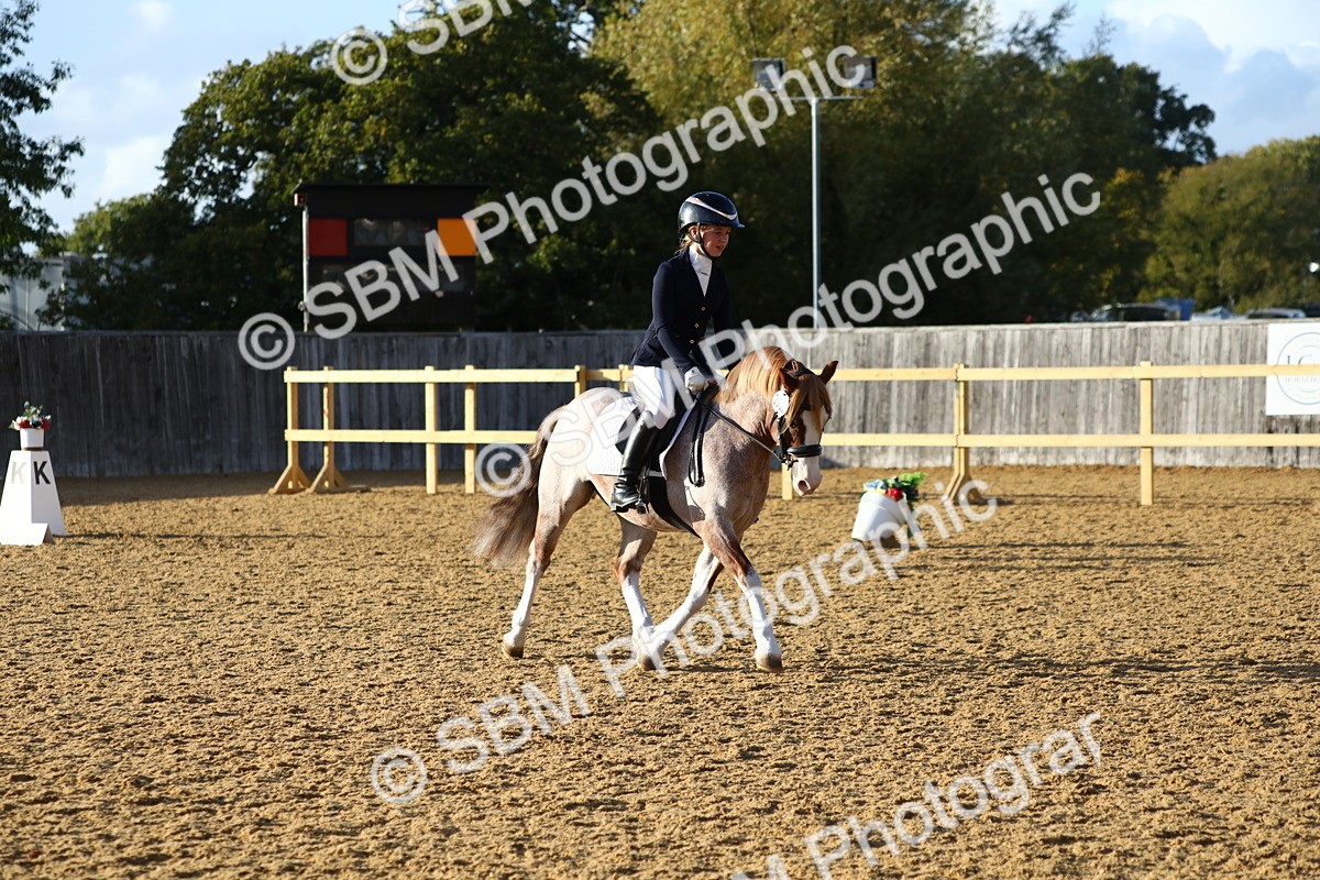 SBM_31650 - D11 - Small Tour Championship Prelim 1