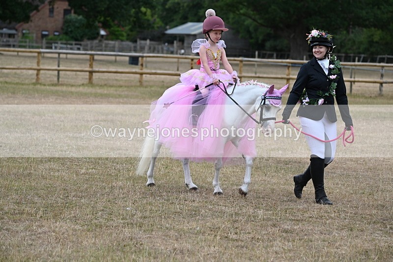 WJ6_8630 - Class 11 Fancy Dress