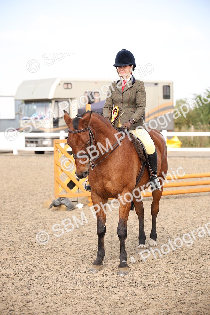 SBM_14240 - Class 407a - Working Veteran 60cm (15-19