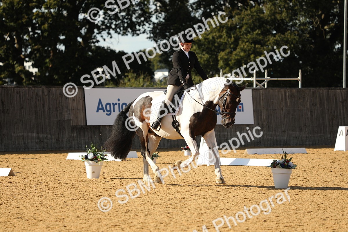 SBM_26833 - D17 - Grand Tour Championship - Novice 27