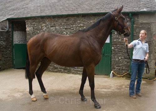 3 - James Ewart Racing