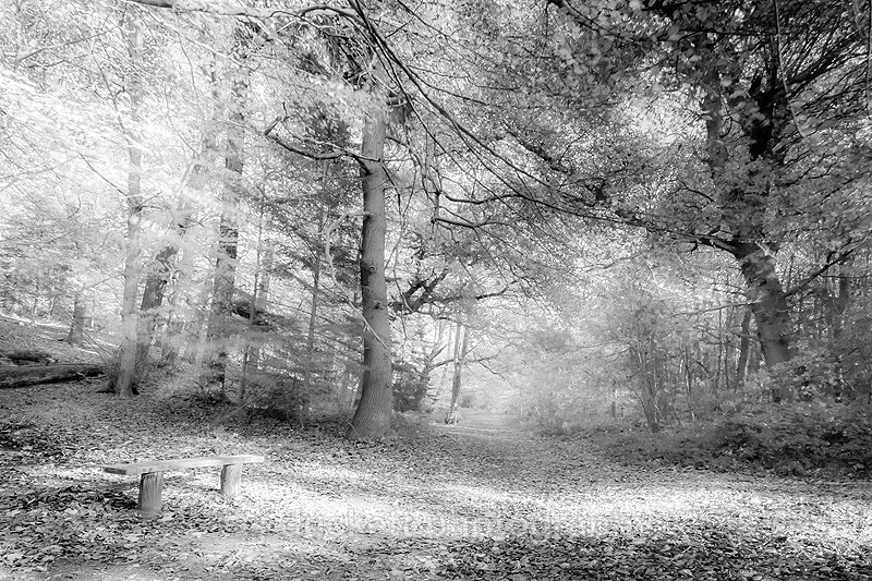  - Squint into the Light (inland)