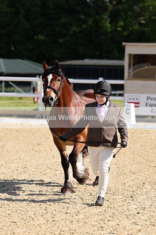 1X9A0558 - Class 2: M & M $ years and over