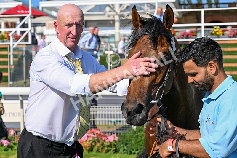 100726-Race 6-Ziggys Triton-0814 - Race 6 17.05pm William Hill Keep Your Raceday Positive Handicap