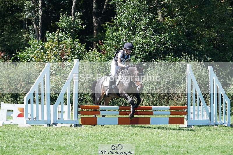 240811A-154356-06052 - 452-