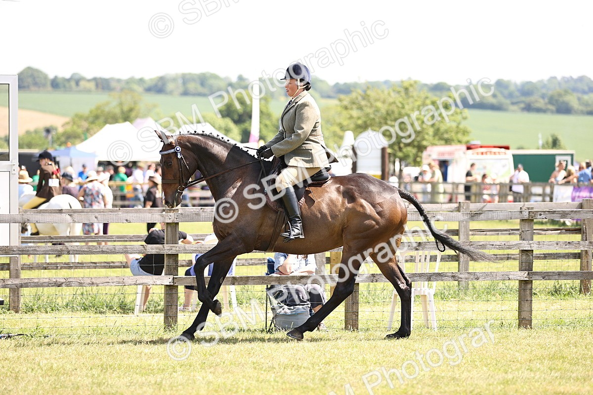 SBM_14895 - Class 78 - LIHS BSHA Open Racehorse & Show Horse