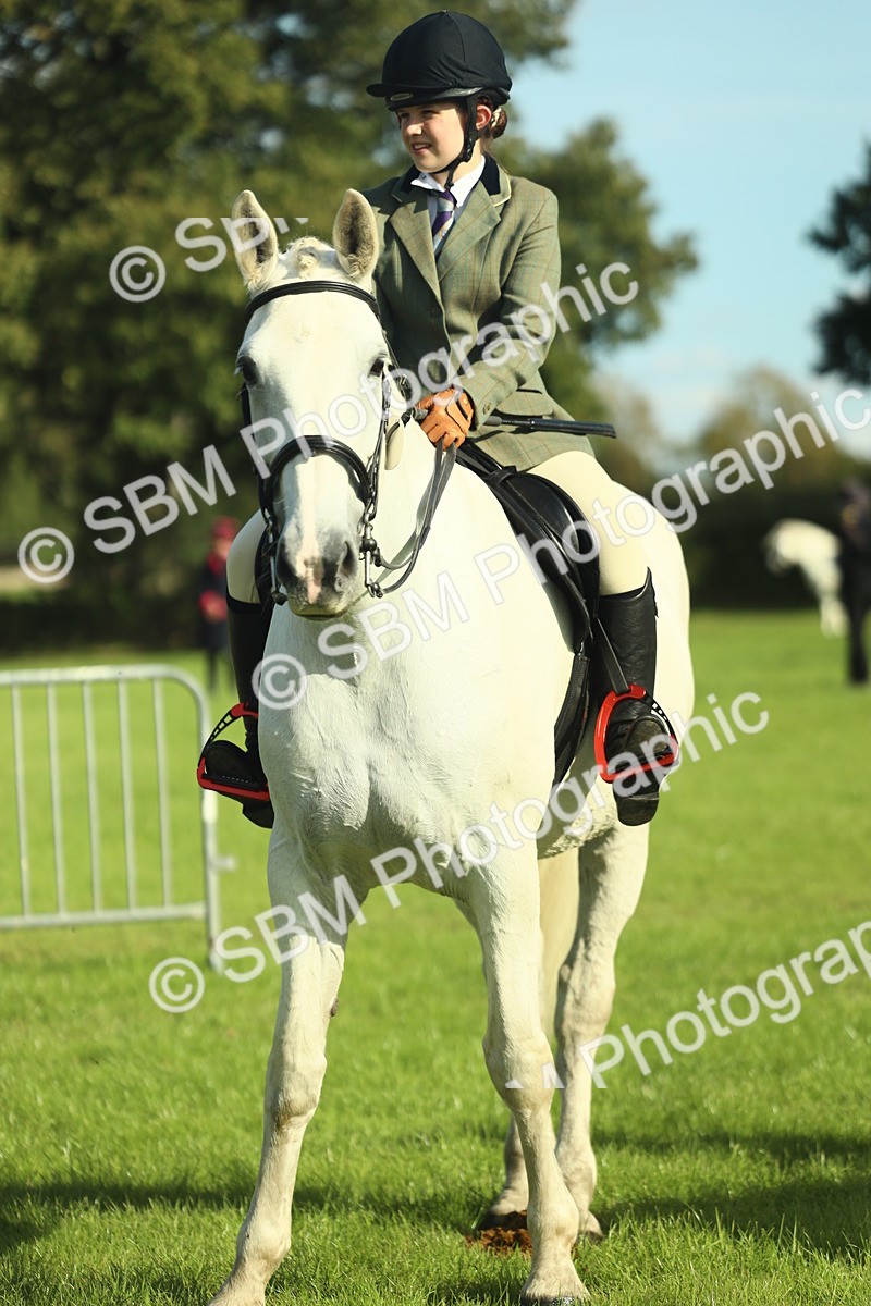 SBM_49826 - S32 - Novice & Newcomers Working Hunter